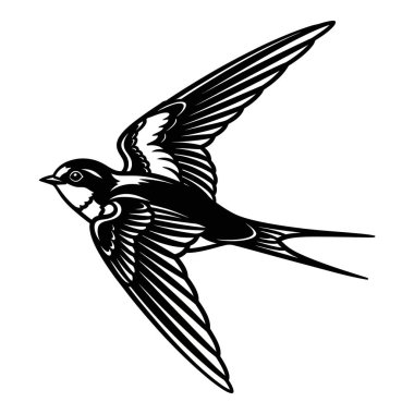 Ayrıntılı bir siyah-beyaz çizimi bir ahır kırlangıcı uçuş izole