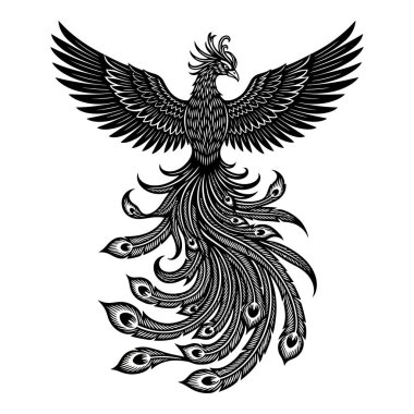 Karmaşık Süslü Anka Kuşu Tasarımı Özenle hazırlanmış Kuyruk Tüyleri