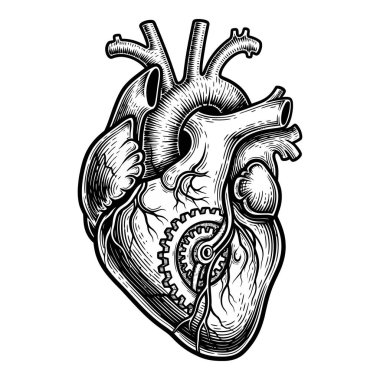 Karmaşık Vites ve Saatli Mekanik Tasarımı Olan Anatomik Kalp
