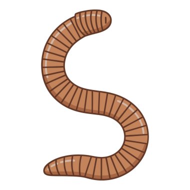 Tek bir Solucan Parçalı Vücut İmajı