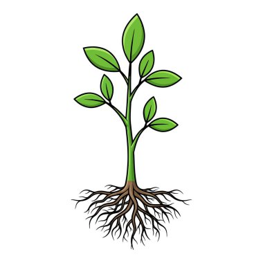 Büyüyen Kökleri ve Yeşil Yaprakları Doğada Gelişen Genç Bitkiler