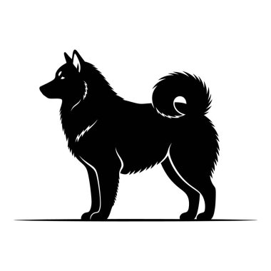 Vurucu Siyah Husky Silueti Açık havada gururla duruyor