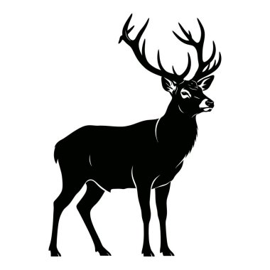 Boynuzlu Görkemli Geyik Bir Orman Açıklığında Gururla Duruyor