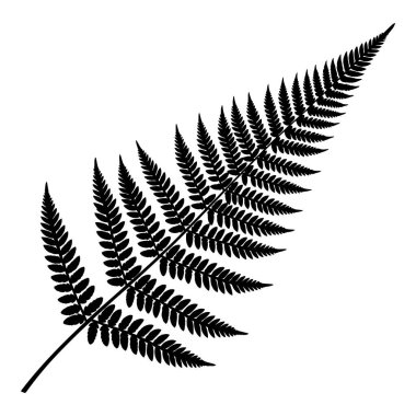 Çok Yapraklı Bir Eğreltiotu Cephesi 'nin Detaylı Siyah Silüeti