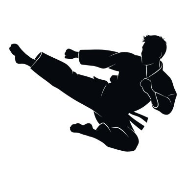 Bir Dövüş Sanatçısı 'nın Dinamik Silueti Orta Havada Güçlü Bir Yan Tekme Gösteriyor