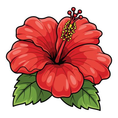 Beraberinde yemyeşil yapraklar olan parlak kırmızı bir amber çiçeğinin güzel ve detaylı bir çizimi. Tropikal temalar ve doğa tasarımları için mükemmel..