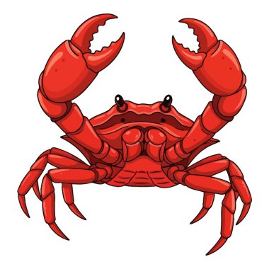 Pençeleri havada, özelliklerini sergileyen kırmızı bir yengecin canlı bir çizimi..