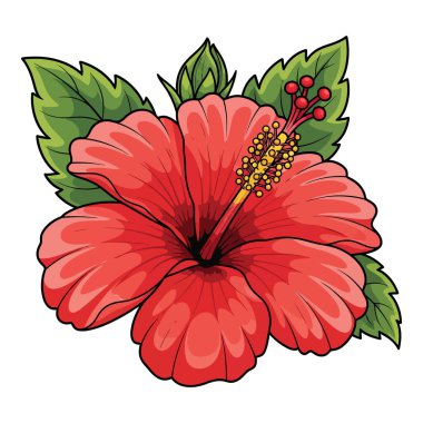 Yeşil yapraklı güzel kırmızı amber çiçeği, canlı bir tropikal bitki, tasarım için mükemmel..