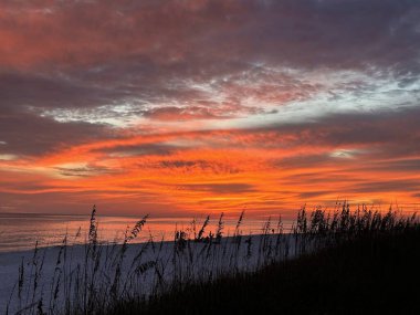 Deniz yulaflarıyla, bulutlarla, Florida sahil aşklarıyla gün batımı