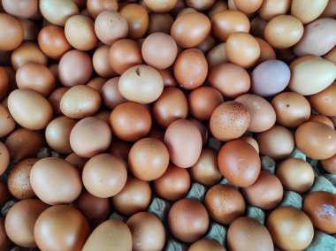 A close-up image of numerous fresh brown eggs. The eggs vary slightly in size and shade, representing farm-fresh organic produce. Ideal for food, farming, and organic product clipart