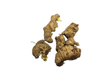 Taze zencefil kökleri üzerinde izole beyaz arka plan