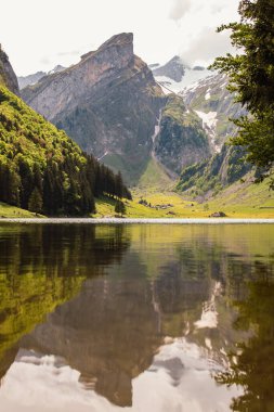 Der Gemeinde Schwende 'deki den Appenzeller Alpen' e bakınız