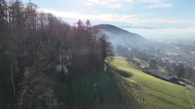  Dağın ortasında büyük bir deresi olan nehir..