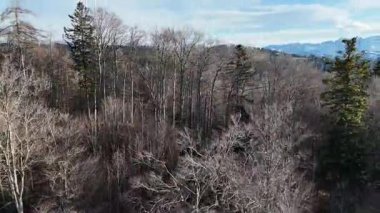  Dağın ortasında büyük bir deresi olan nehir..