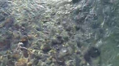  Dağın ortasında büyük bir deresi olan nehir..