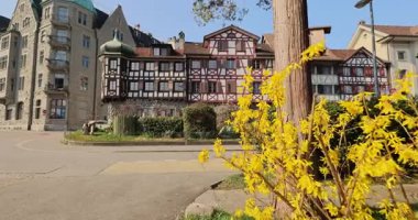 Walk along the embankment Rorschach Video 8k