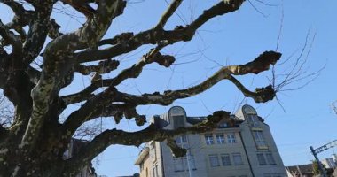 Rorschach Video 8k 'deki Stockholm şehri manzarası