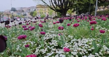 Lugano Gölü ve Lugano şehrinde yürüyüş turu. İsviçre. 8k ultra hd 8 