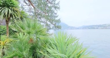 Lugano Gölü ve Lugano şehrinde yürüyüş turu. İsviçre. 8k ultra hd 8 