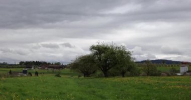 Güzel kırsal manzara