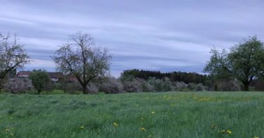Ağacı ve tarlası olan güzel bir manzara.