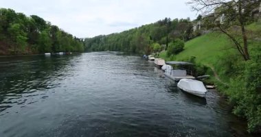 Ormanda güzel bir şelale Rheinfall 8k ultra hd