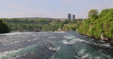 Ormanda güzel bir şelale Rheinfall 8k ultra hd