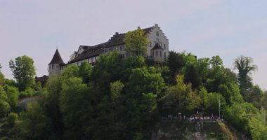Ormanda güzel bir şelale Rheinfall 8k ultra hd