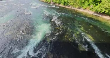 Ormanda güzel bir şelale Rheinfall 8k ultra hd