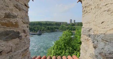 Ormanda güzel bir şelale Rheinfall 8k ultra hd