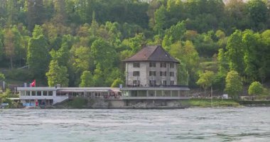 Ormanda güzel bir şelale Rheinfall 8k ultra hd