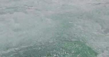 Ormanda güzel bir şelale Rheinfall 8k ultra hd