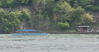 Ormanda güzel bir şelale Rheinfall 8k ultra hd