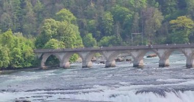 Ormanda güzel bir şelale Rheinfall 8k ultra hd