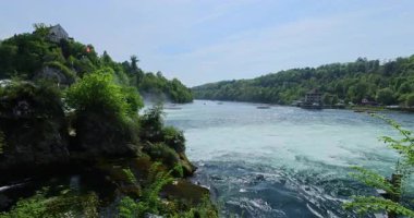 Ormanda güzel bir şelale Rheinfall 8k ultra hd