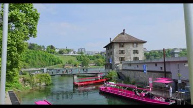 Parktaki nehri Rheinfall 8k ultra hd