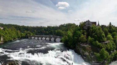 Ormandaki nehrin güzel manzarası