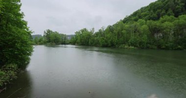 Ormandaki nehrin güzel manzarası