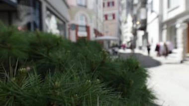 St. Gallen şehrinin manzarası 8k ultra HD