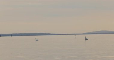 Akşam göl manzarası 8k ultra HD 