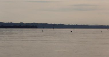 Sabah göl manzarası 8k ultra HD 