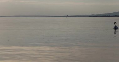 Güzel göl manzarası. 8k ultra HD. 