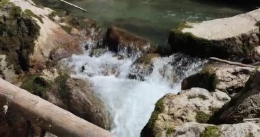 Ormanda güzel bir şelale Rappenlochschlucht 8k ultra hd