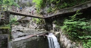 Ormanda şelale Rappenlochschlucht 8k ultra hd