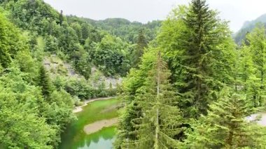 Ormandaki şelalenin üzerinde insansız hava aracı