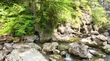 Ormanda güzel bir şelale