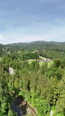 Ağaçların arasından akan bir nehrin dikey görüntüsü.