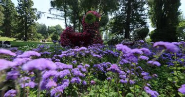 Bahçedeki güzel çiçekler 8k ultra hd