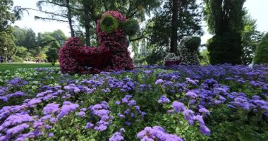 Bahçedeki güzel çiçekler 8k ultra hd