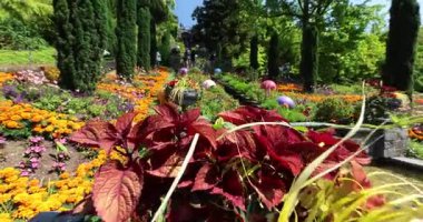 Parkta güzel çiçekler var. 8k ultra hd.